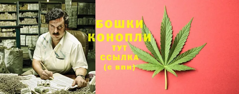 Конопля индика  Буй 